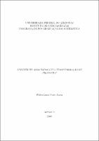 Dissertação - Walter Lucas Pinto Júnior.pdf.jpg