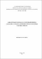 Dissertação - Getulio Solon da Silva.pdf.jpg