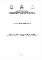 Dissertação - Luísa Margareth Carneiro da Silva.pdf.jpg