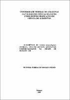 Dissertação - Victoria Teresa de Morais Guedes.pdf.jpg