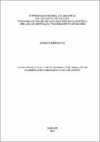 Dissertação - Adriano Mendes Gil.pdf.jpg