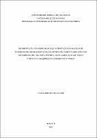 Dissertação - Clahildek Matos Xavier.pdf.jpg