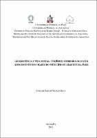 Dissertação - Aniel de Sarom Negrão Silva.pdf.jpg