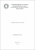 Dissertação - Igor Medeiros de Assis.pdf.jpg