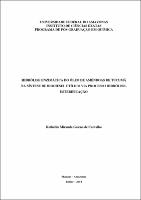 Dissertação - Kethellin Miranda Galeno de Carvalho.pdf.jpg