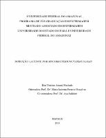 Dissertação - Kim Vinícius Amaral Machado.pdf.jpg