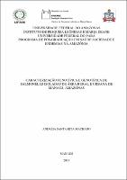 Dissertação - Andréia Santa Rita Machado.pdf.jpg