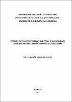 Dissertação - Túlio Romão Ribeiro da Silva.pdf.jpg