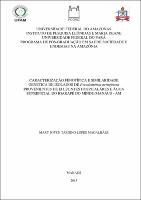 Dissertação - Mary Joyce Targino Lopes Magalhães.pdf.jpg