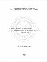 Dissertação - João Vitor Camargo Soares.pdf.jpg