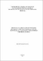 Dissertação - Silvio Vieira da Silva.pdf.jpg