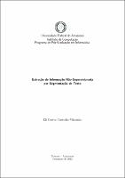 Tese - Eli Cortez Custódio Vilarinho.pdf.jpg