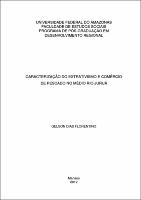 Dissertação - Gelson Dias Florentino.pdf.jpg