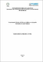 Dissertação - Mário Jorge Andrade da Cunha.pdf.jpg