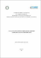 Dissertação - Alexandre da Silva Leocádio.pdf.jpg