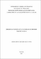 ANDRÉ LUÍZ DE CARVALHO BRAULE PINTO.pdf.jpg