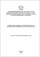 Dissertação - Lilian Augusta R. M. Maciel.pdf.jpg