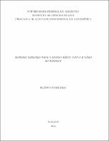 Dissertação - Flávio Cunde Dias.pdf.jpg