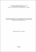 Dissertação - Holman Dario Rincón Cuervo.pdf.jpg