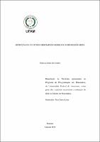 Dissertação - Vanessa Souza dos Santos.pdf.jpg