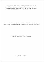Dissertação - Lauriano de Souza e Souza.pdf.jpg