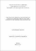 Dissertação - Elton Rodrigo Andretta.pdf.jpg