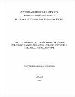 Dissertação -  Eliezer Senna Gonçalves Júnior.pdf.jpg