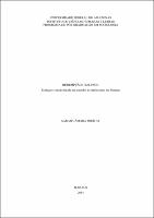 Dissertação - Sarah Câmara Freitas.pdf.jpg