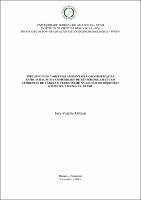Dissertação - Iury Valente Debien.pdf.jpg