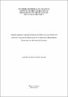 Dissertação - João Paulo Machado de Araújo.pdf.jpg
