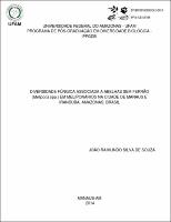 Dissertaçao - João Raimundo Silva de Souza.pdf.jpg