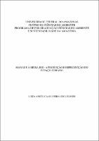 Dissertação - Luiza Angélica Oliveira Guglielmini.pdf.jpg