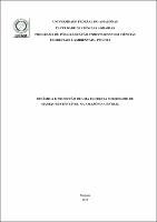Dissertação - Marcos Antônio Silva de Souza.pdf.jpg