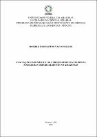 Dissertação - Rosiele dos Santos Vasconcelos.pdf.jpg