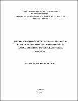 Dissertação  - Marilia de Jesus da Silva e Sousa.pdf.jpg