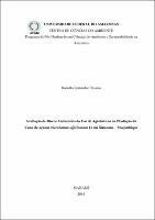 Dissertação - Rodolfo Bernardo Chissico.pdf.jpg