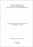 Dissertação - Sabrina Emanuela de Melo Araújo.pdf.jpg