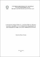 Dissertação - Maria Ione Feitosa Dolzane.pdf.jpg
