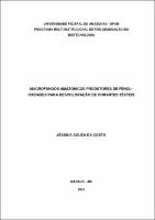Dissertação - Jessica Souza.pdf.jpg