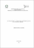 Dissertação- Anderson Rocha.pdf.jpg