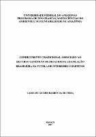 Dissertação - Carolini Silveira.pdf.jpg
