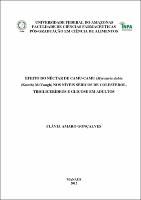 Dissertação - Flávia Amaro Gonçalves.pdf.jpg