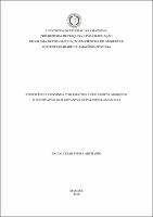Tese - Paulo Cesar V. Archanjo.pdf.jpg