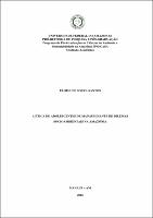 Dissertação - Eloisa de Souza Santos.pdf.jpg