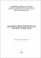 Dissertação - André Z. A. Nascimento.pdf.jpg