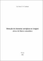 Dissertação - Luiz C. A. M. Cavalcanti.pdf.jpg