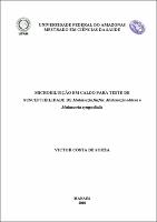 Dissertação - Victor C. Souza.pdf.jpg