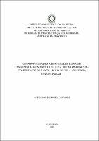 Dissertação - Anderson de SouzaTavares.pdf.jpg