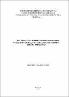 Dissertação - Marcelo T. Nunes.pdf.jpg