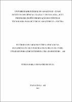 Dissertação - Fênix R. F. Souza.pdf.jpg